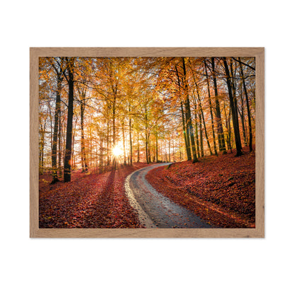 Road In Sapderaysen Nationalpark Sweden