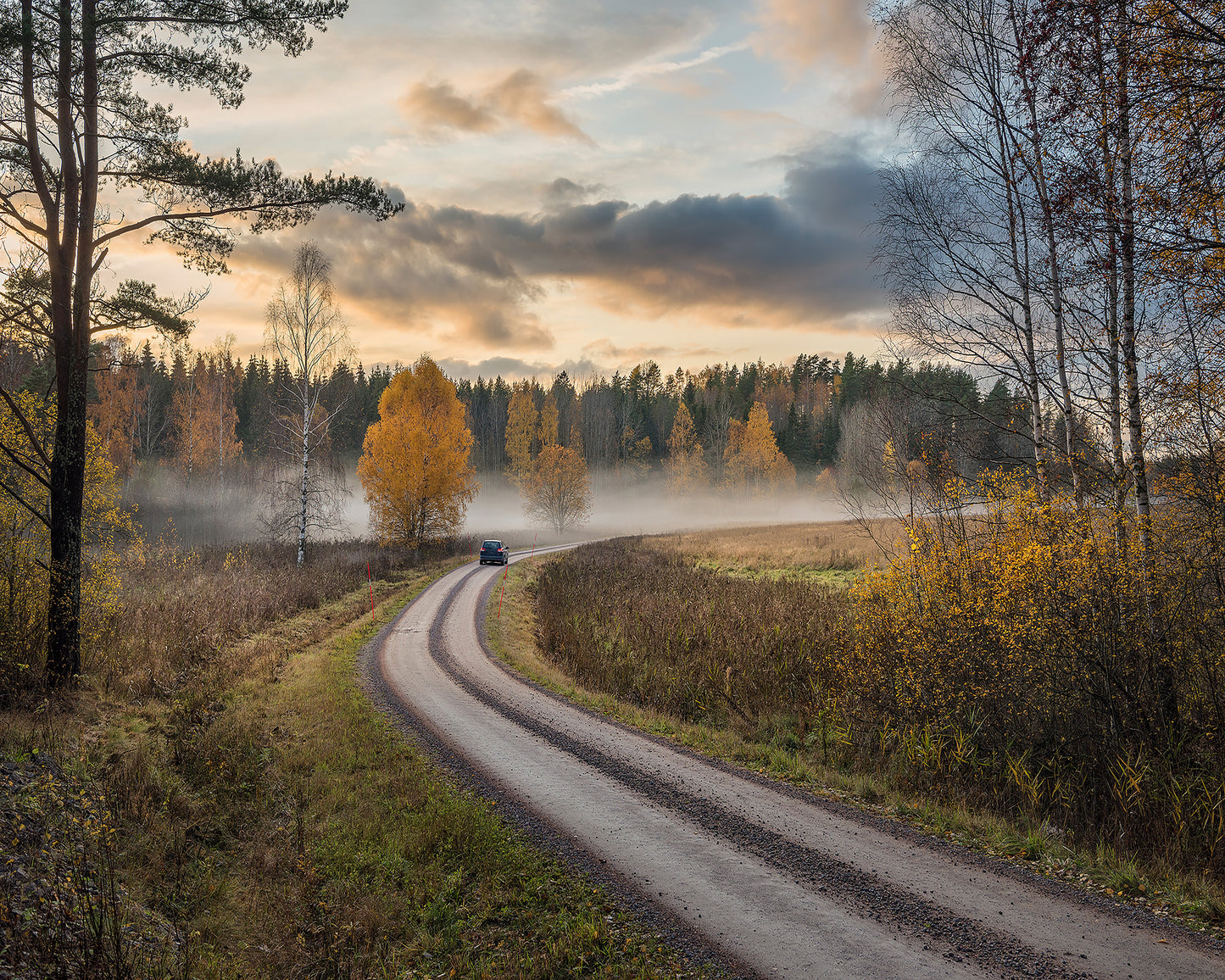 Drive In Autumn Colors