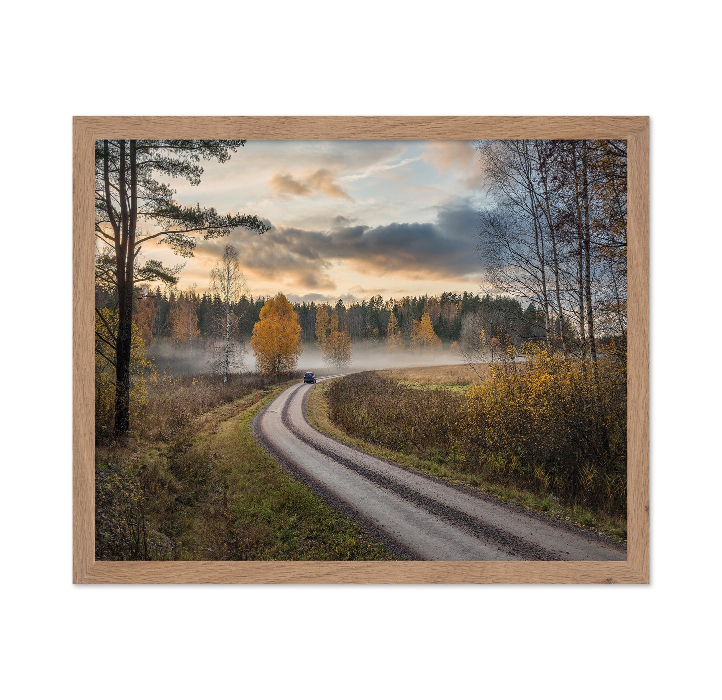 Drive In Autumn Colors