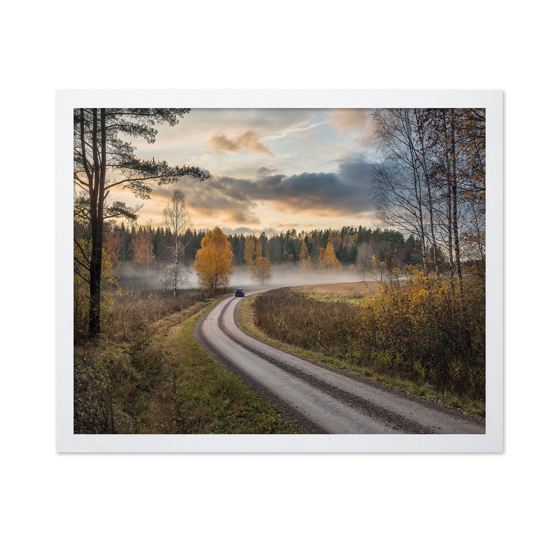 Drive In Autumn Colors