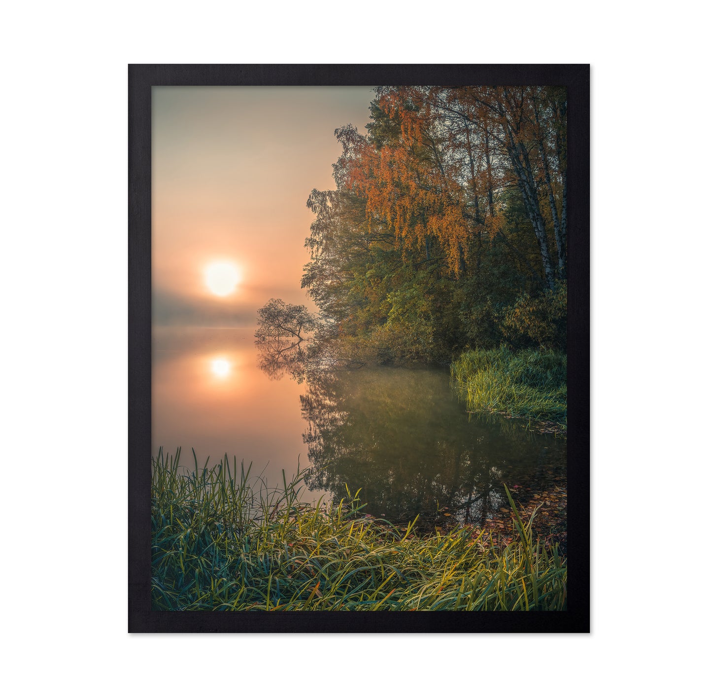 Foggy Fall Lake