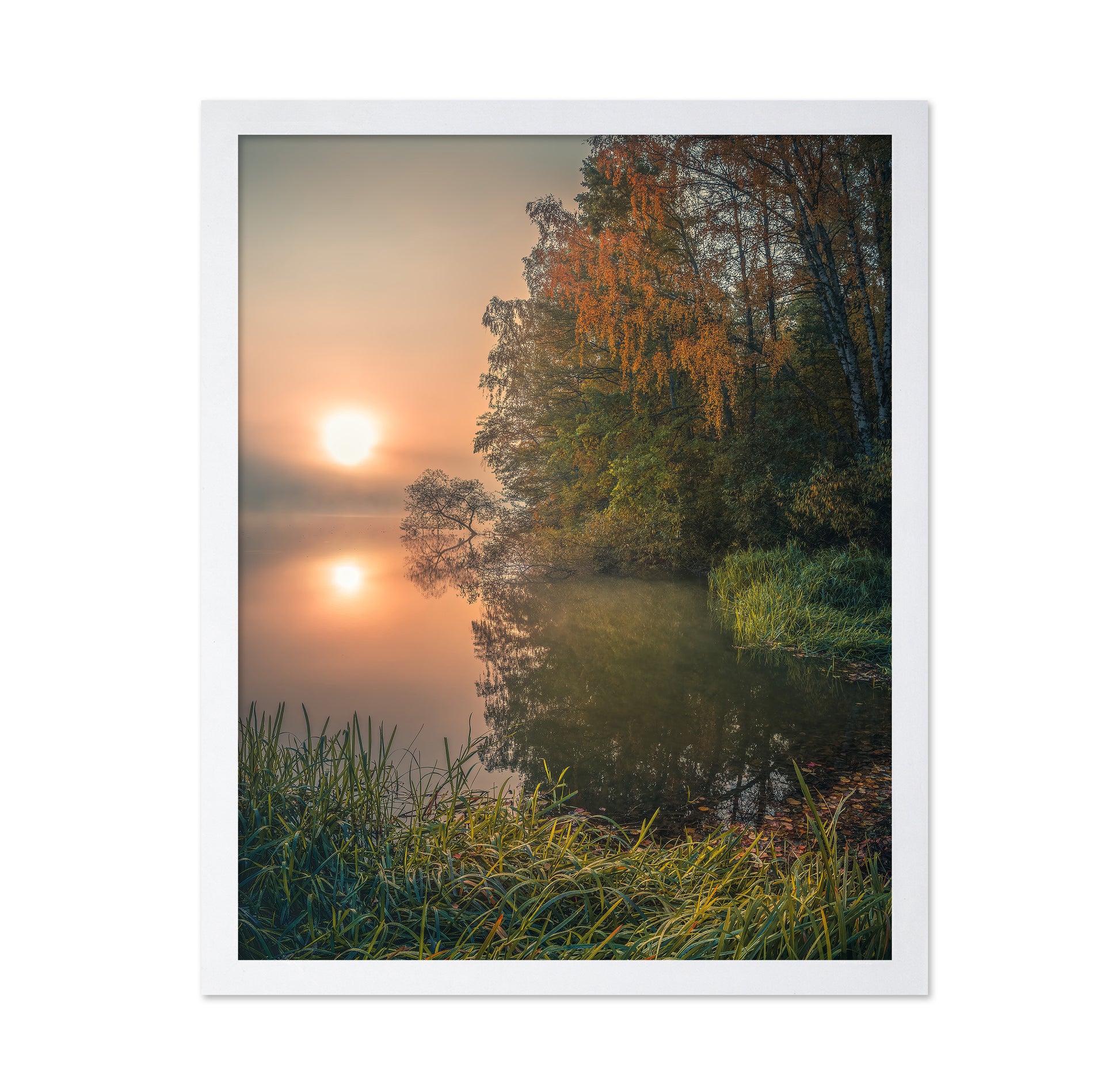 Foggy Fall Lake