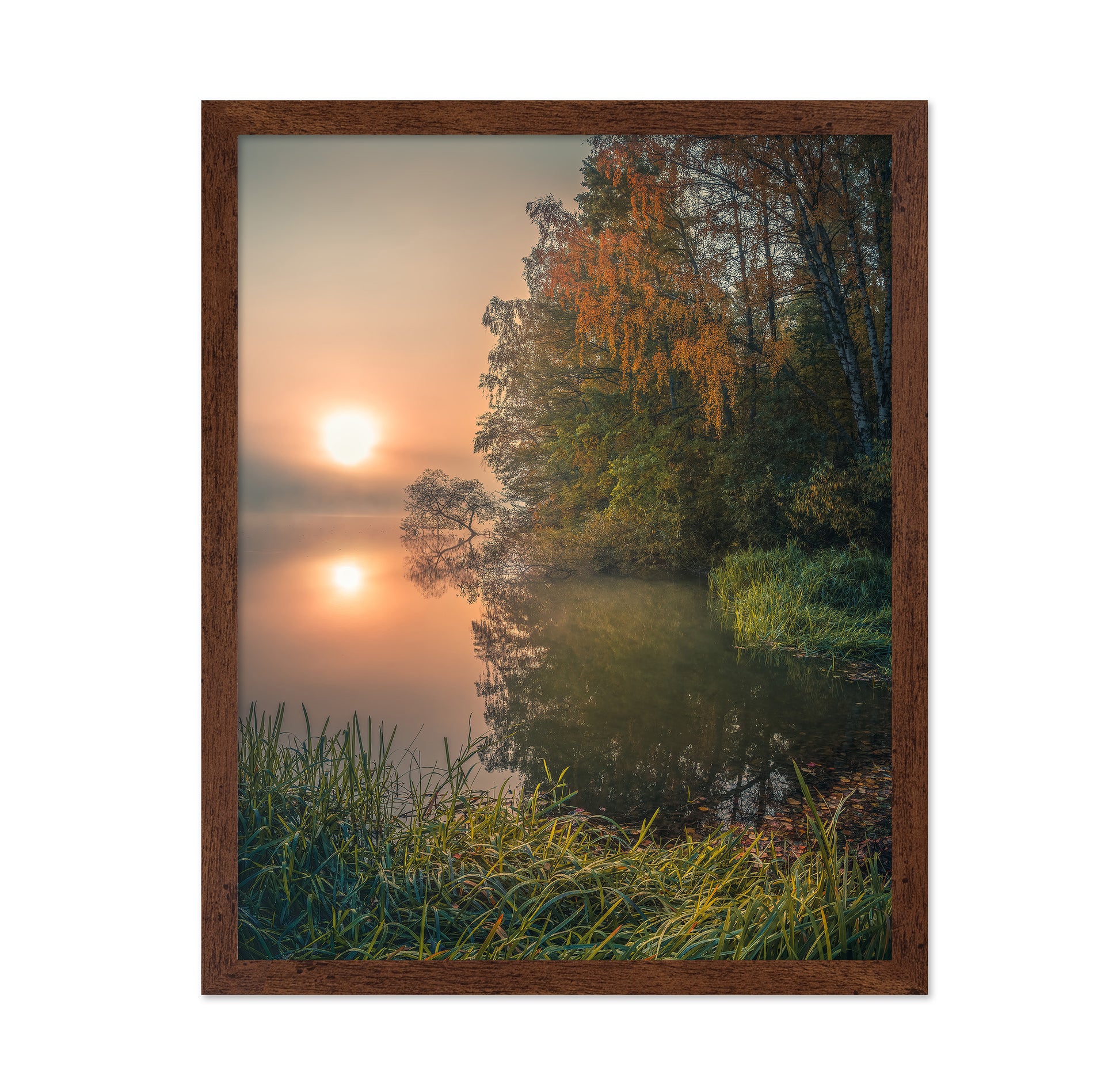 Foggy Fall Lake