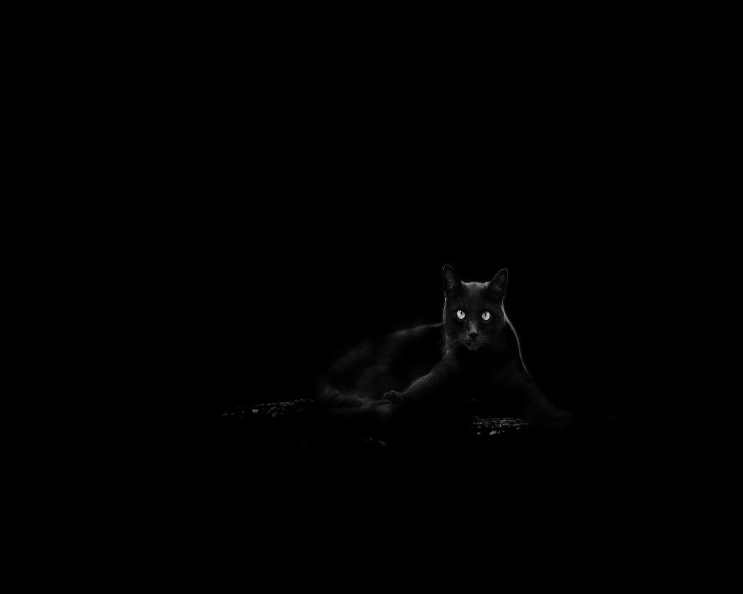 Black Cat No 4
