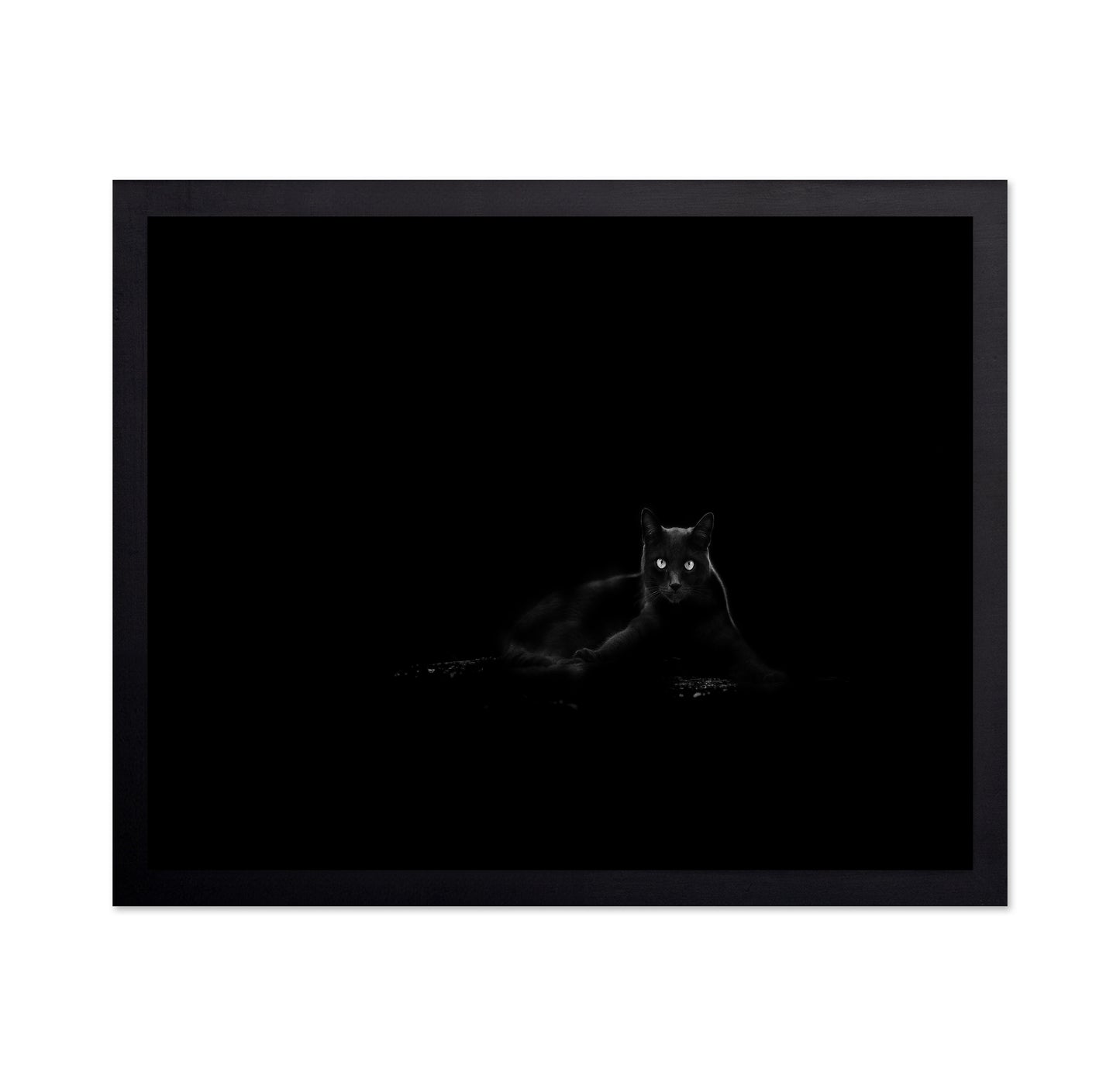 Black Cat No 4