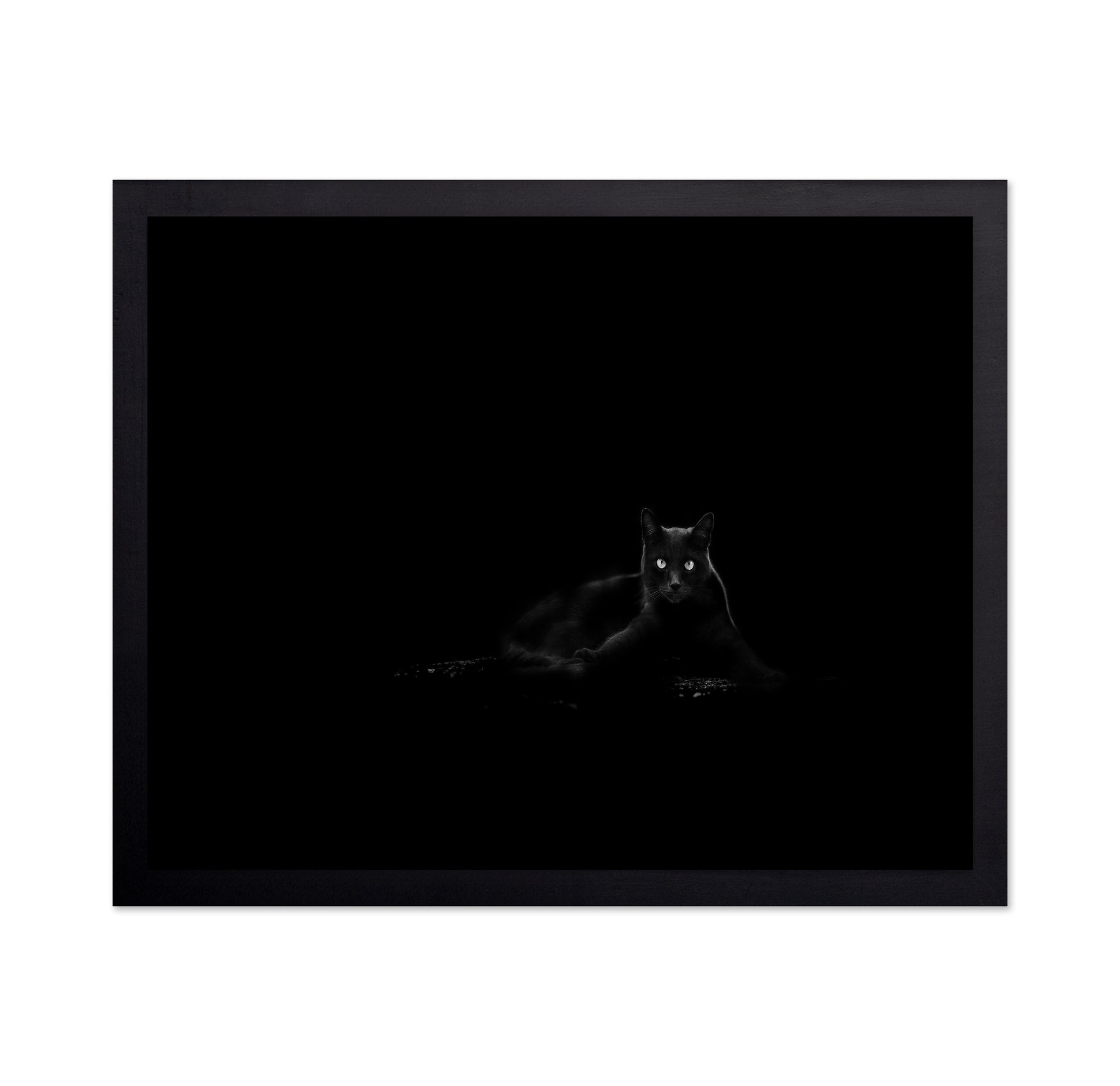 Black Cat No 4