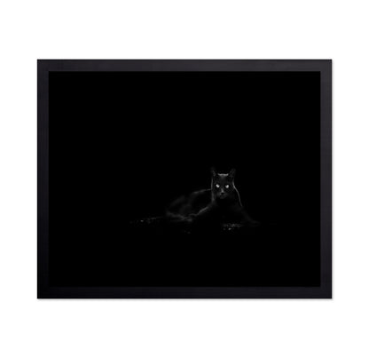 Black Cat No 4