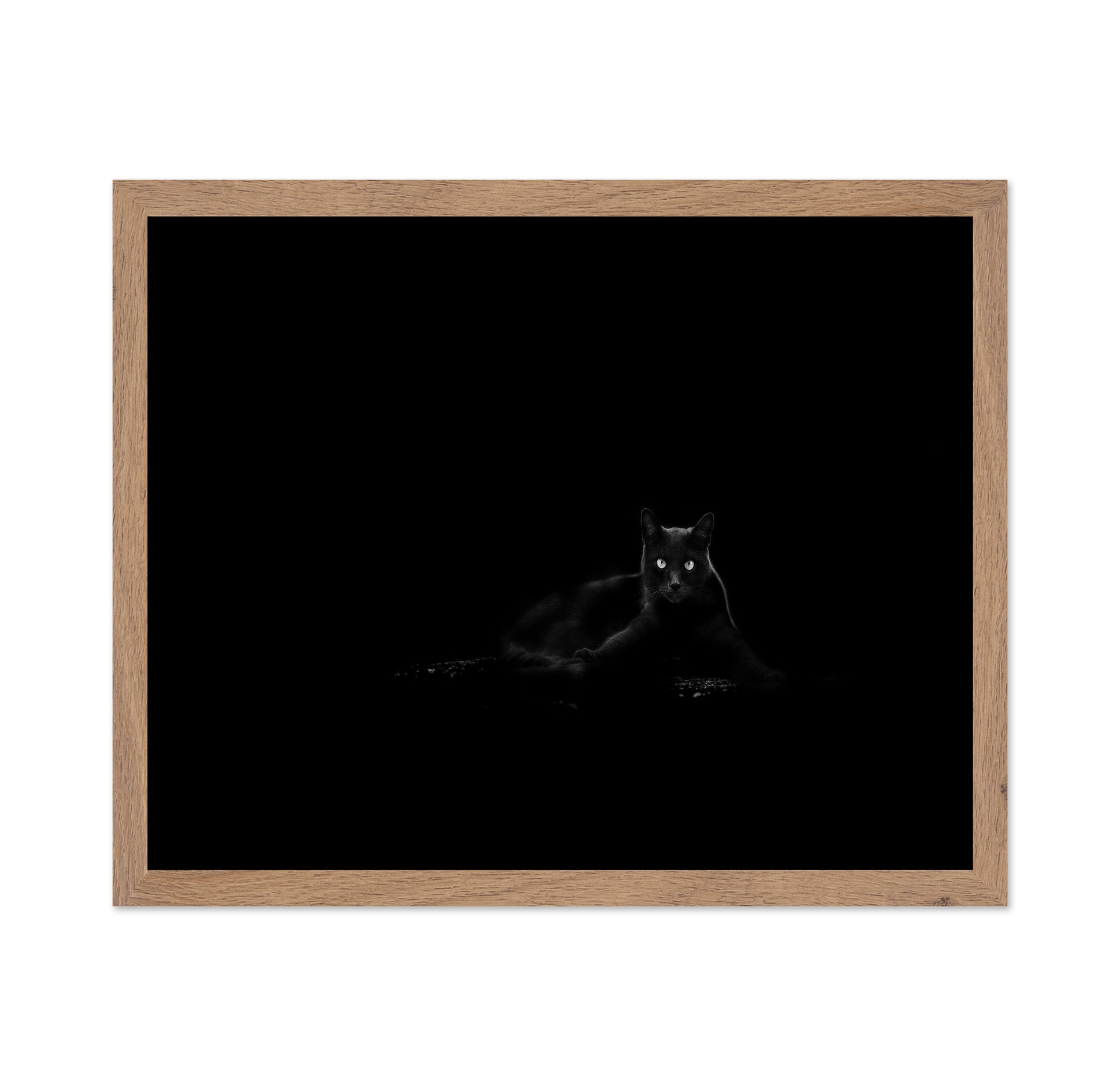 Black Cat No 4