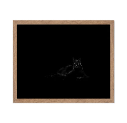 Black Cat No 4