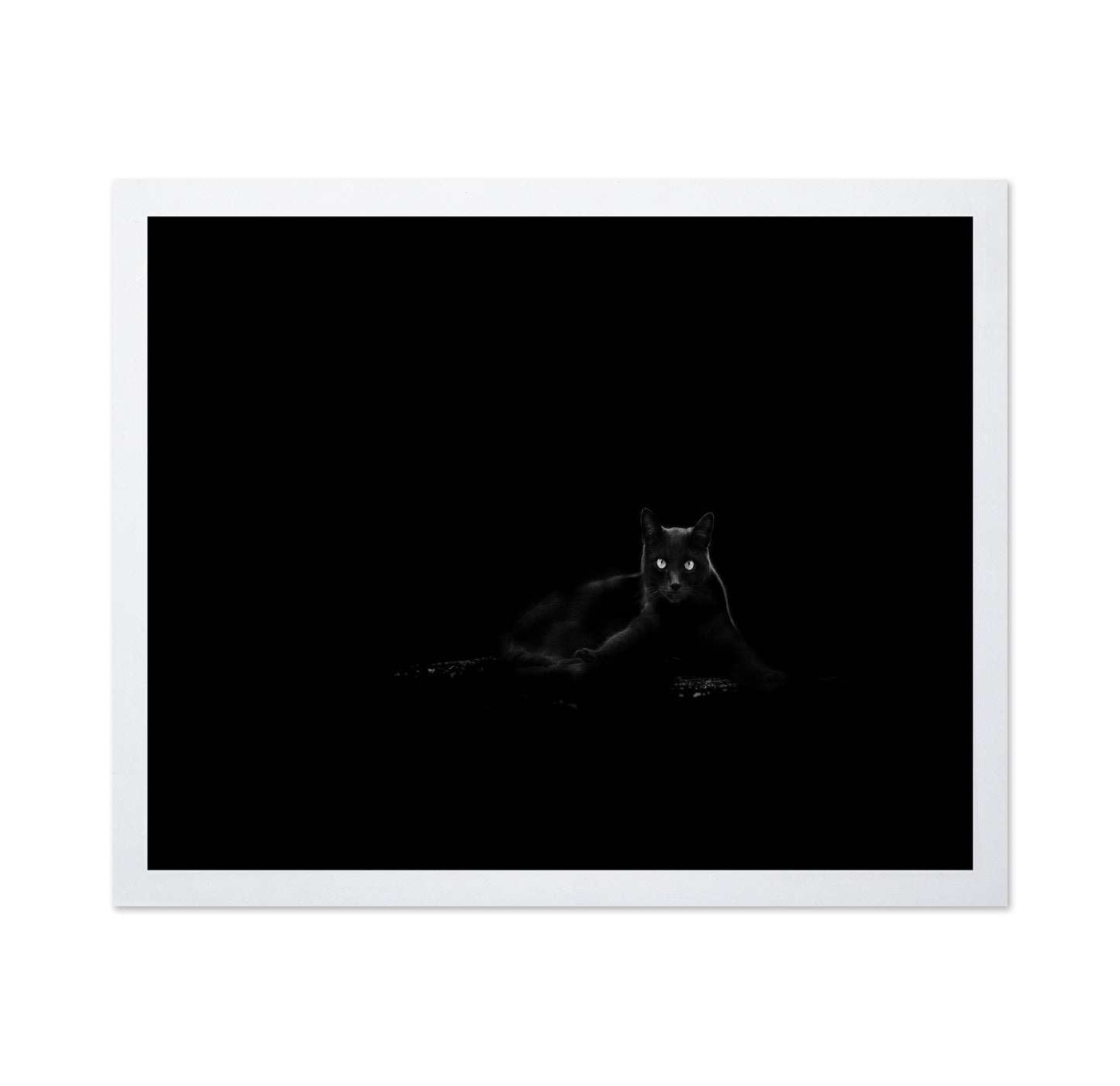 Black Cat No 4