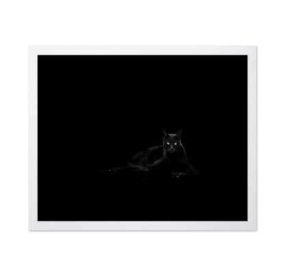 Black Cat No 4