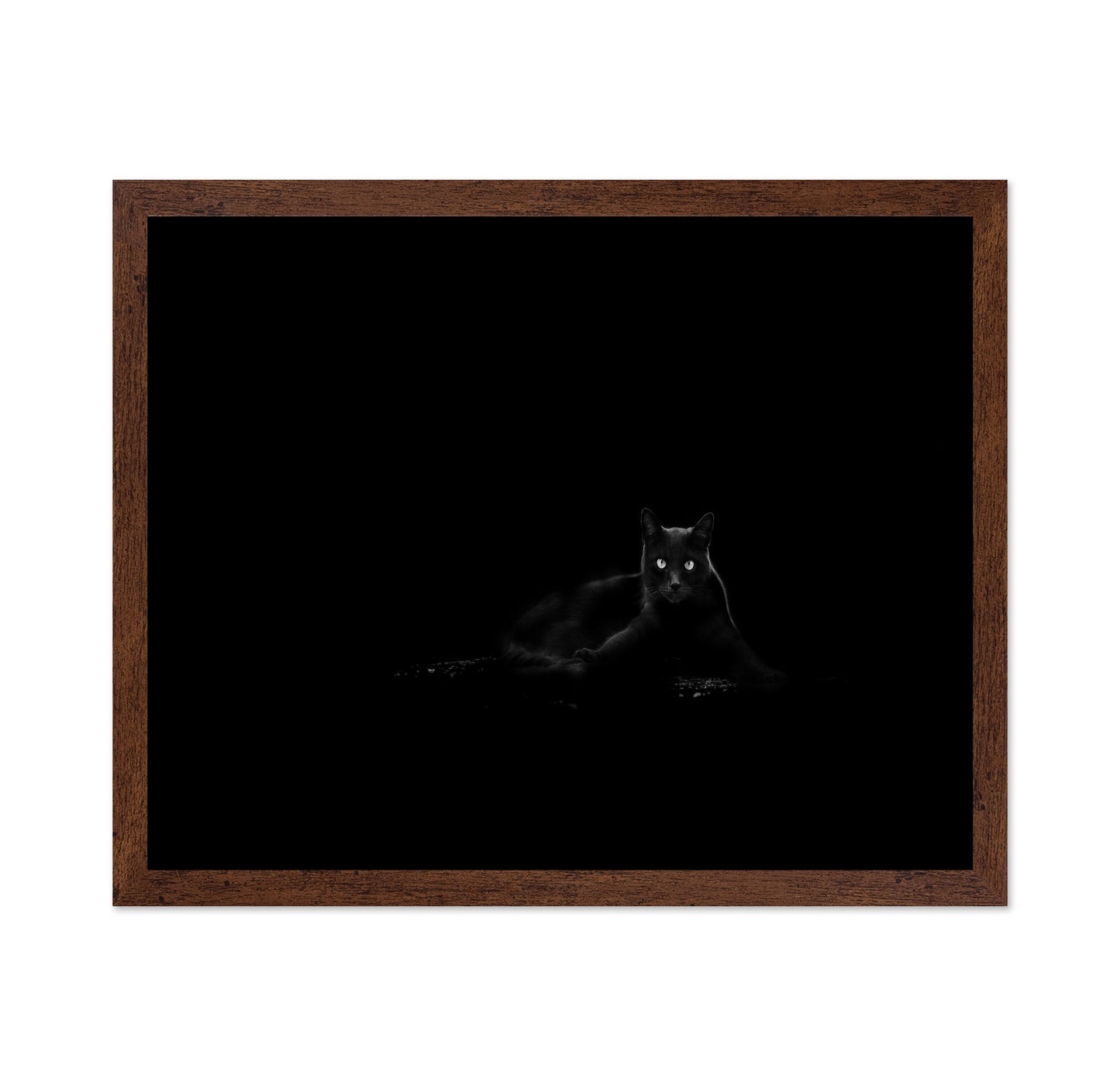 Black Cat No 4