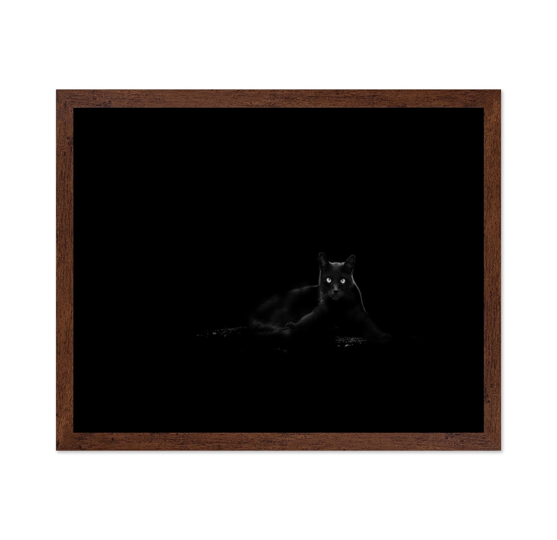 Black Cat No 4