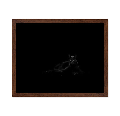Black Cat No 4