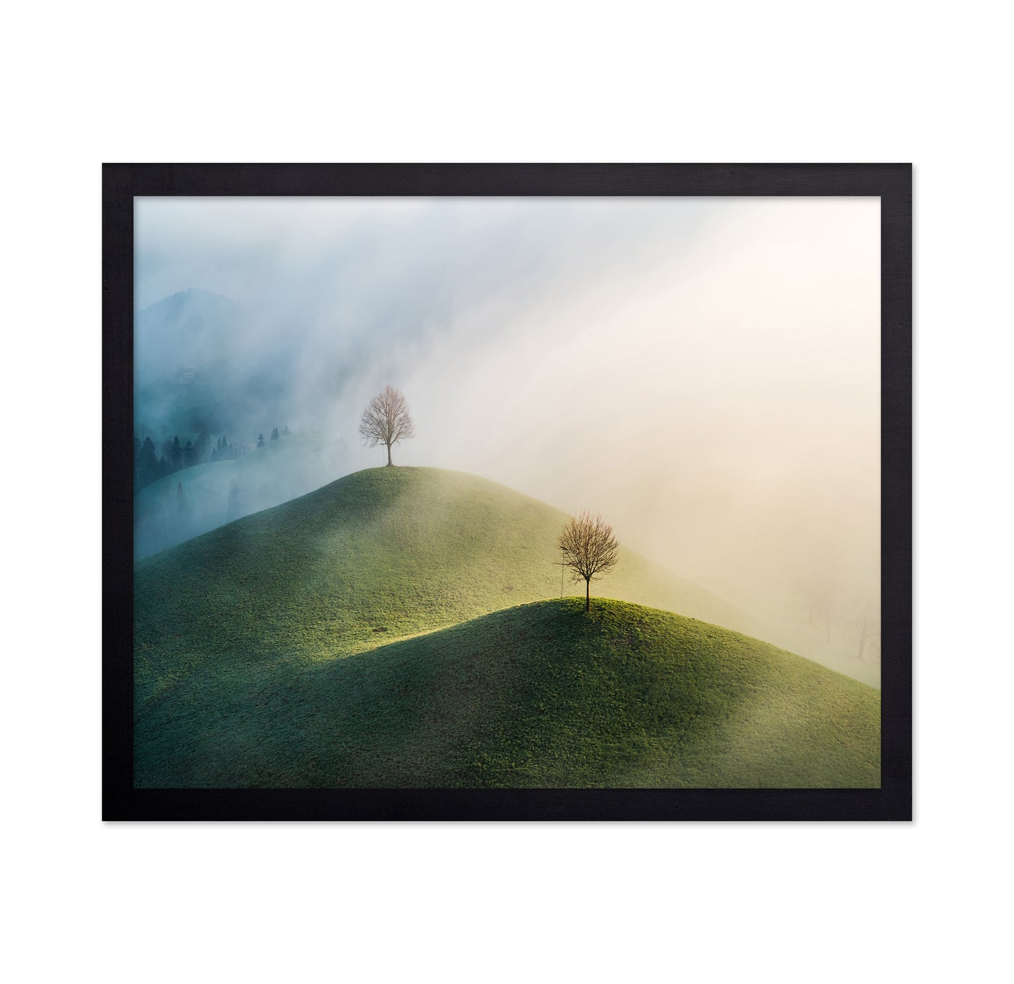 Trees On The Hill