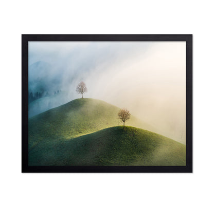 Trees On The Hill