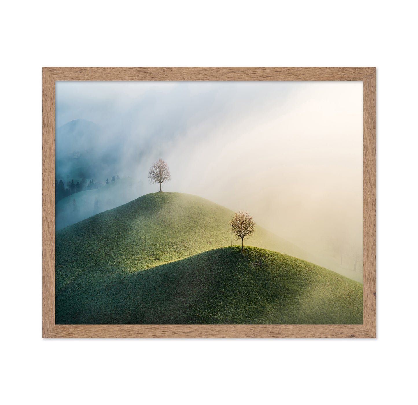 Trees On The Hill