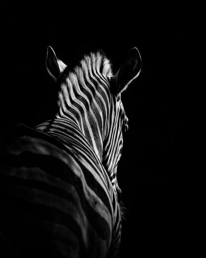 Stepping Down