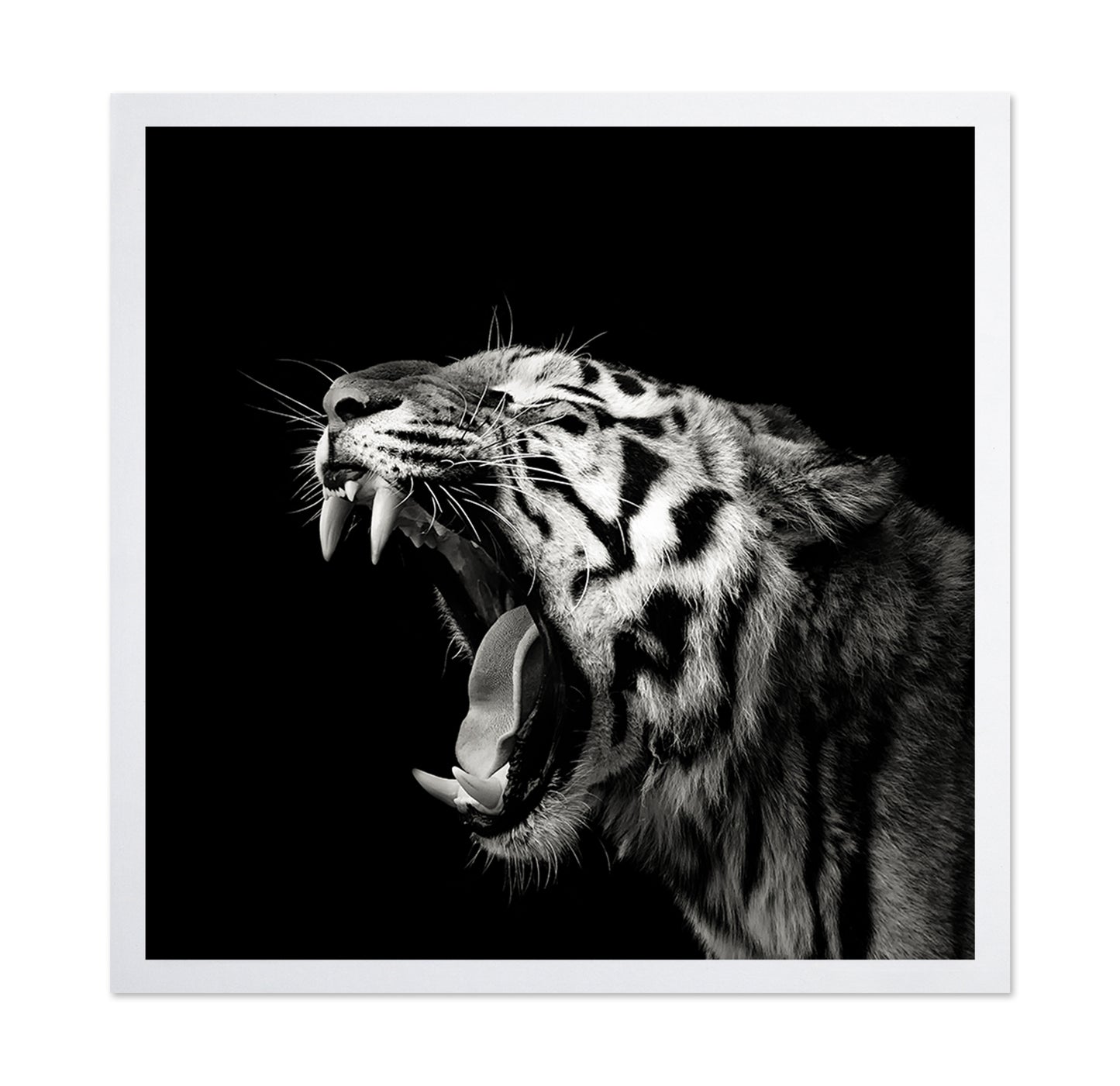Primal Yawn