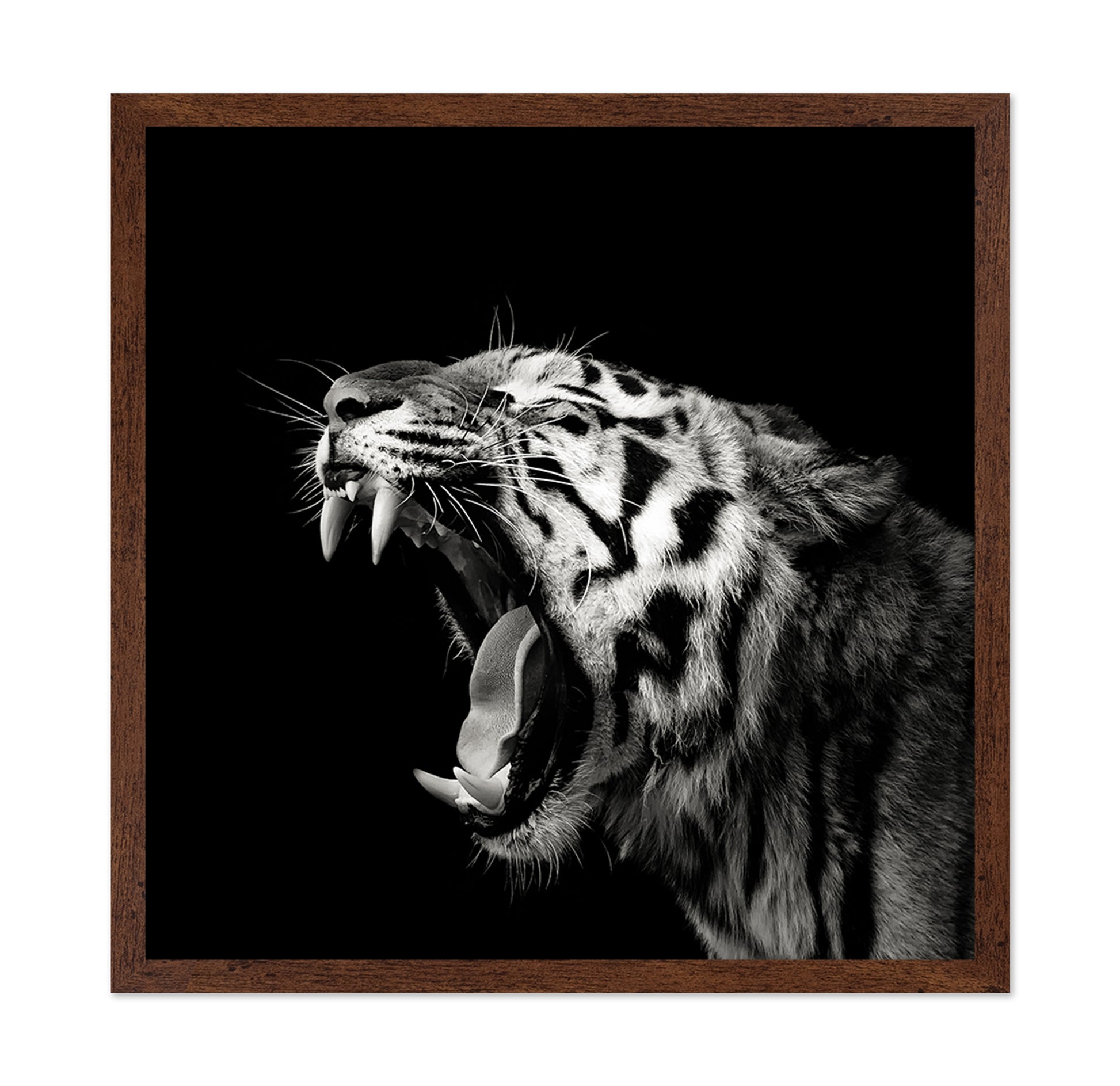 Primal Yawn