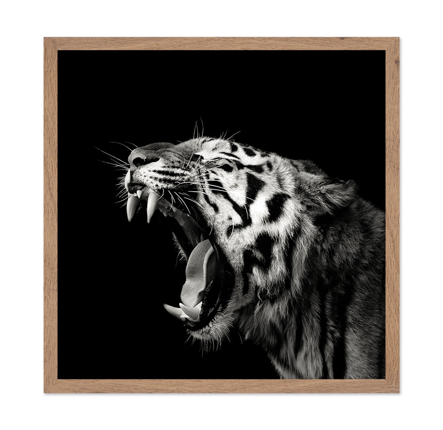 Primal Yawn