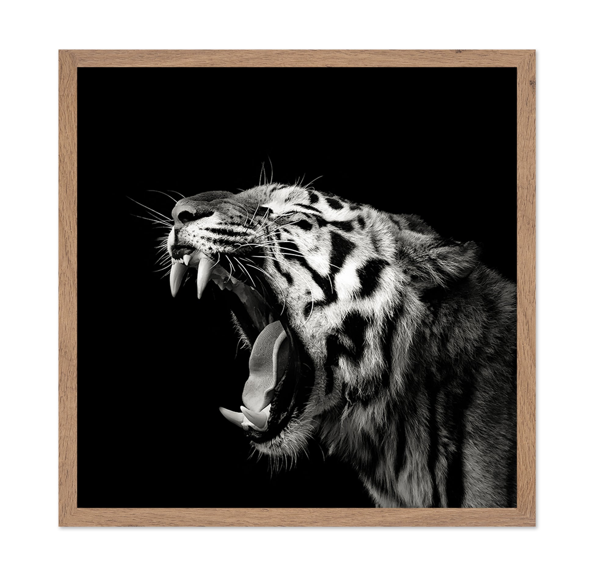 Primal Yawn
