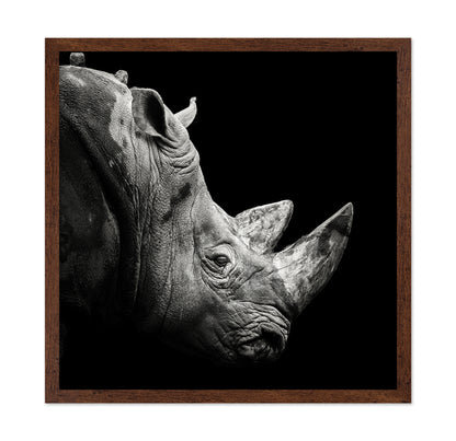 Rhino
