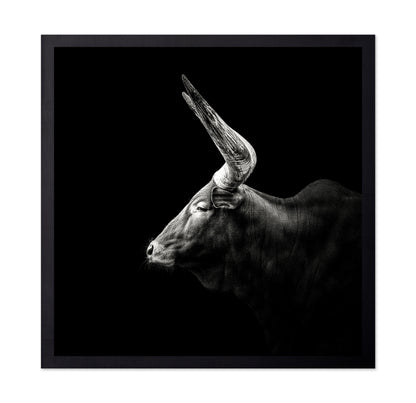 Watusi