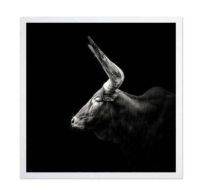 Watusi