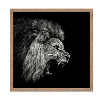 Roaring Lion