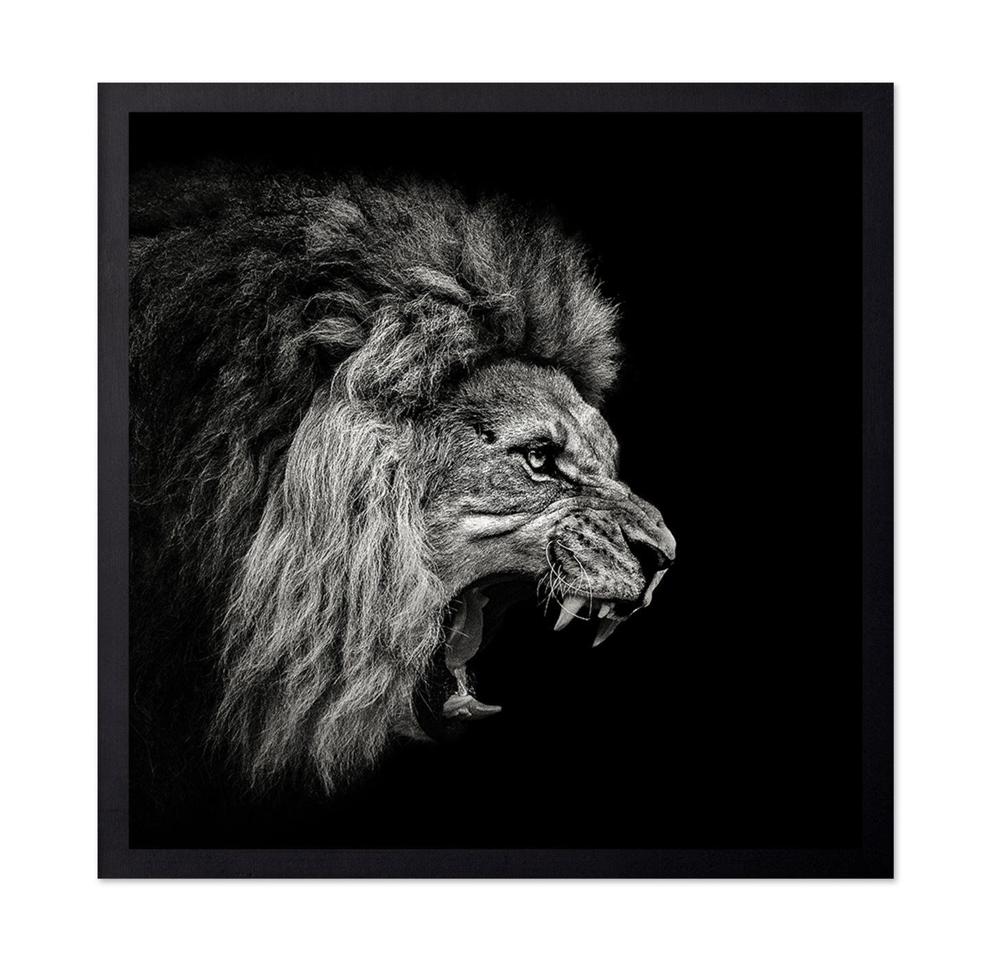 Roaring Lion