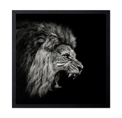 Roaring Lion