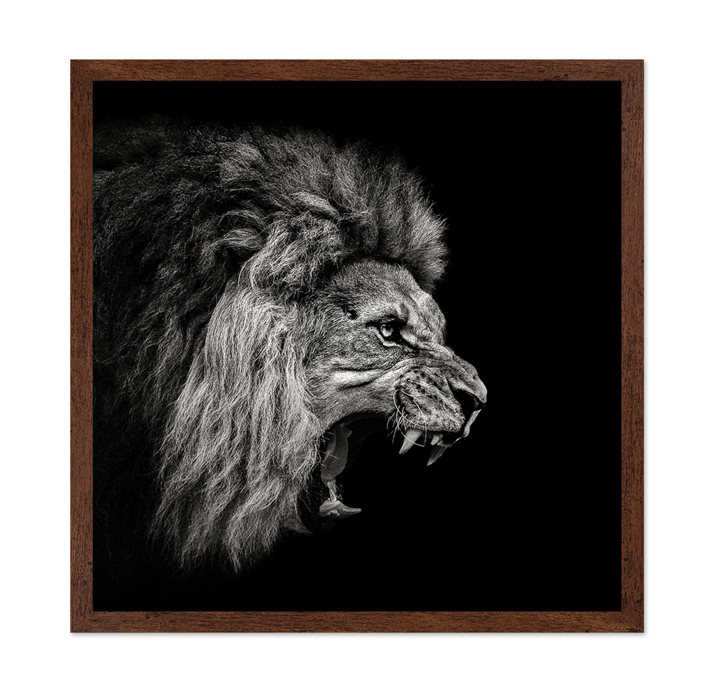 Roaring Lion