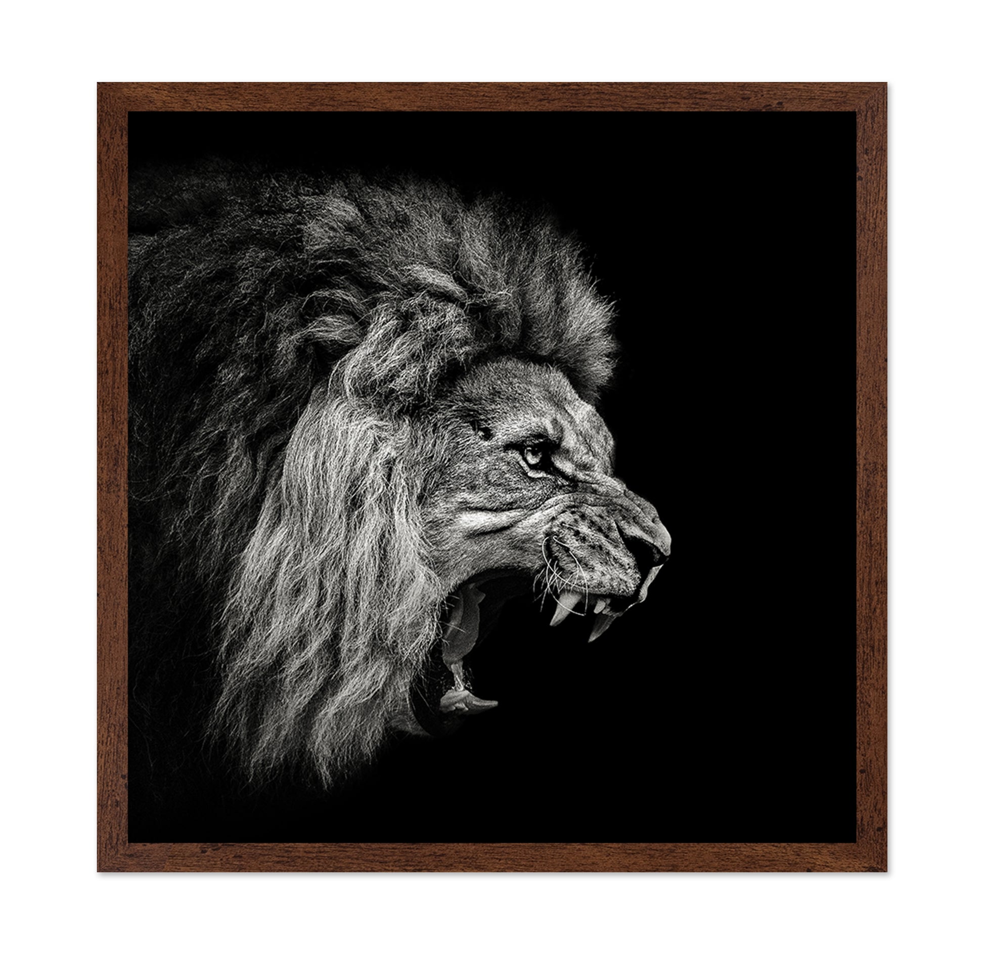 Roaring Lion