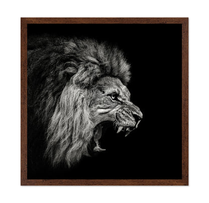 Roaring Lion