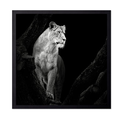 Lioness No 2