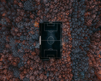 Playing In The Forest