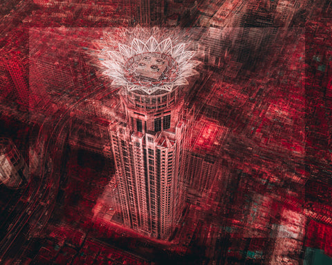 A Flower In The Urban Field