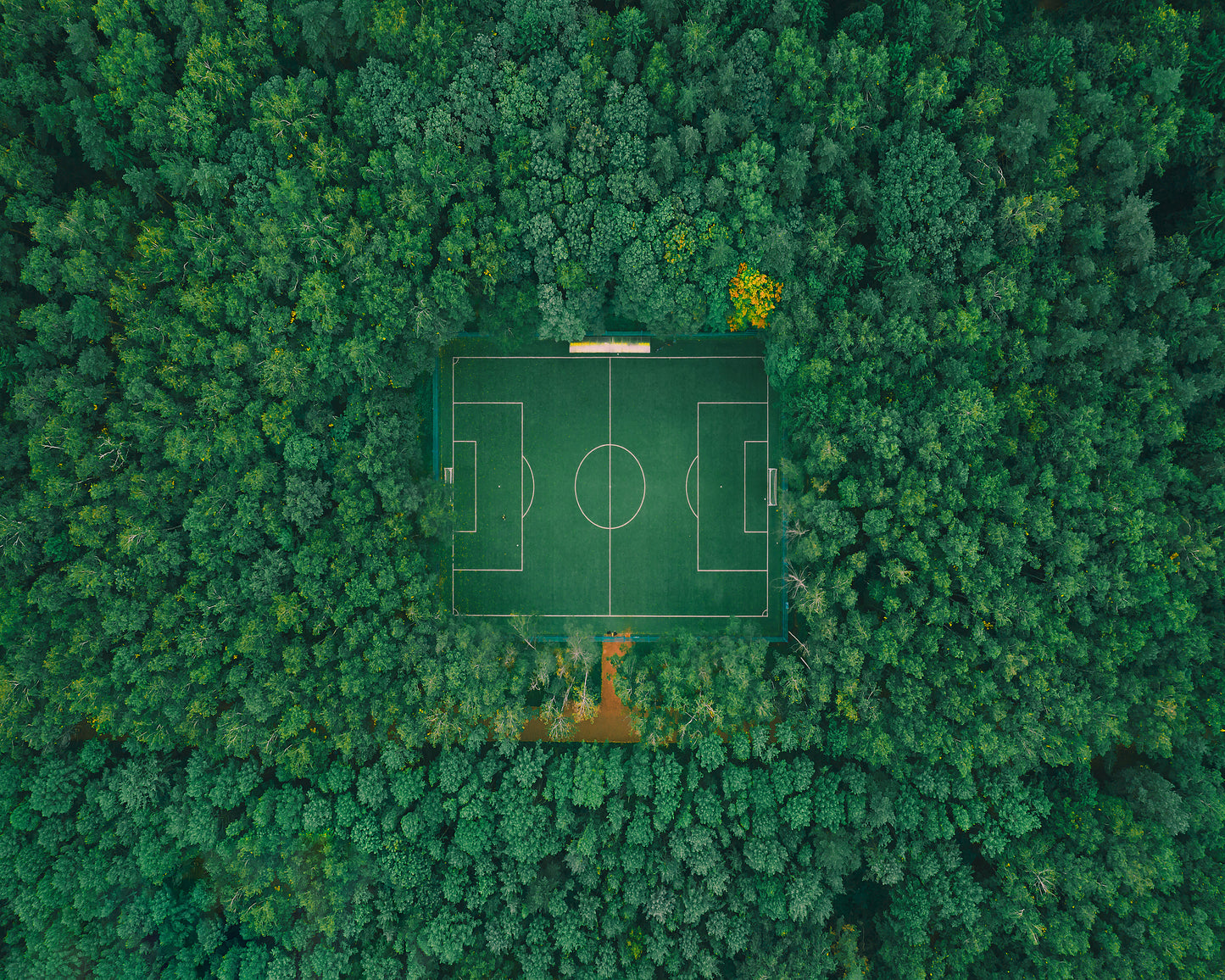 When Nature Embraces Sport
