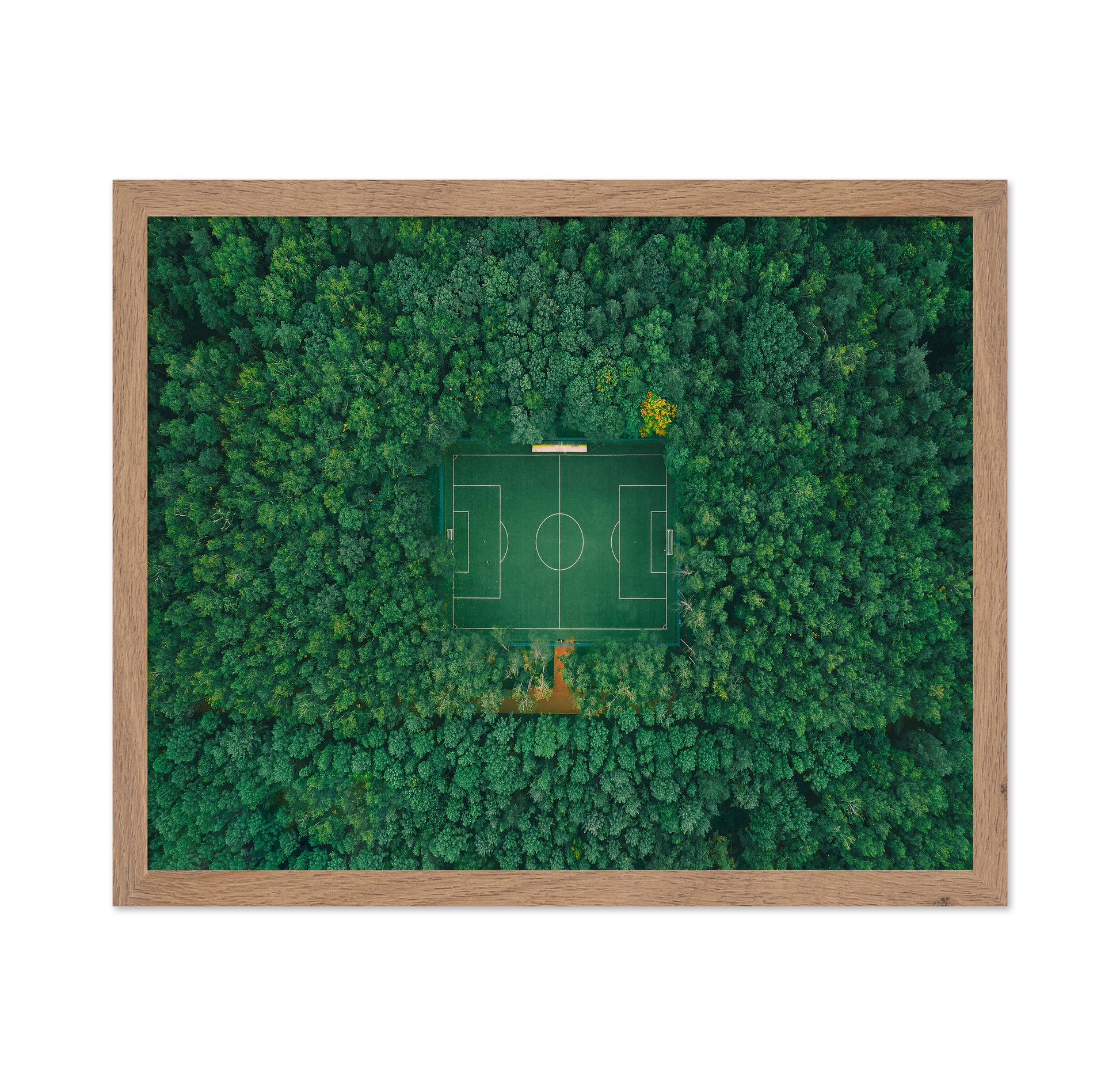 When Nature Embraces Sport