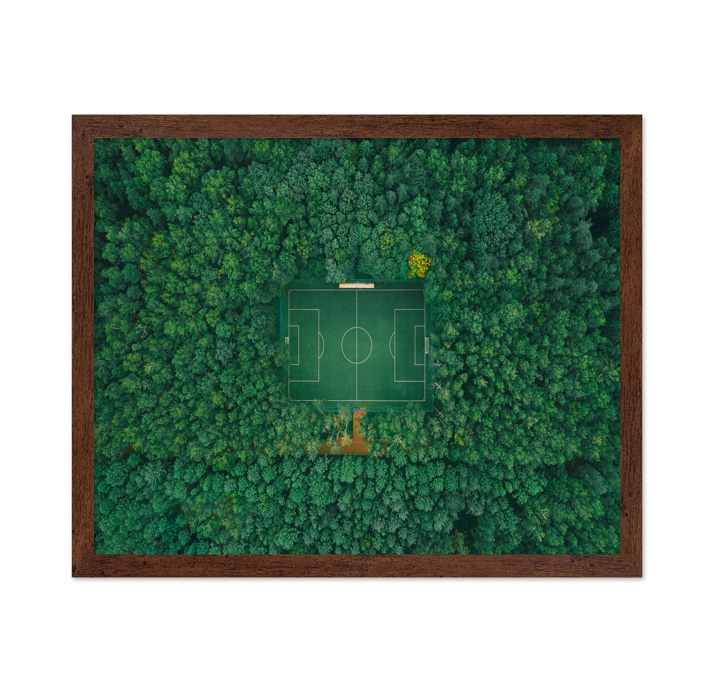 When Nature Embraces Sport