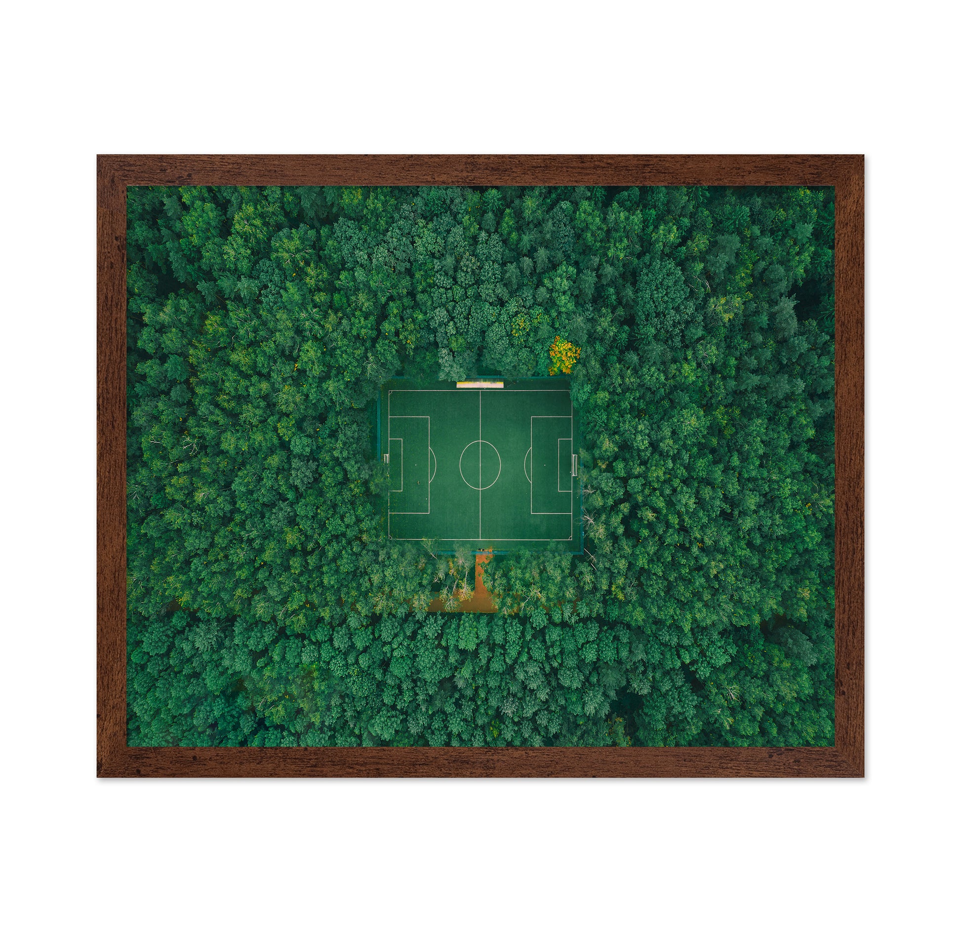 When Nature Embraces Sport