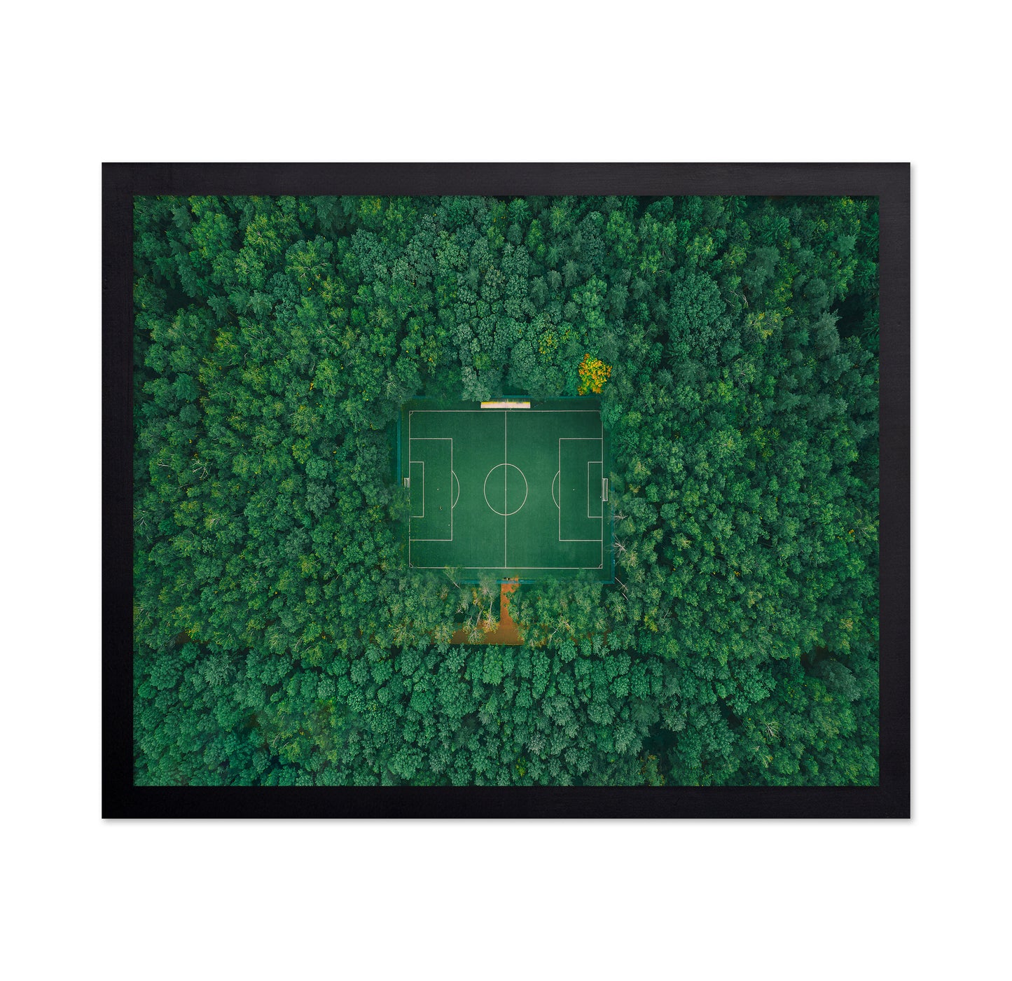 When Nature Embraces Sport