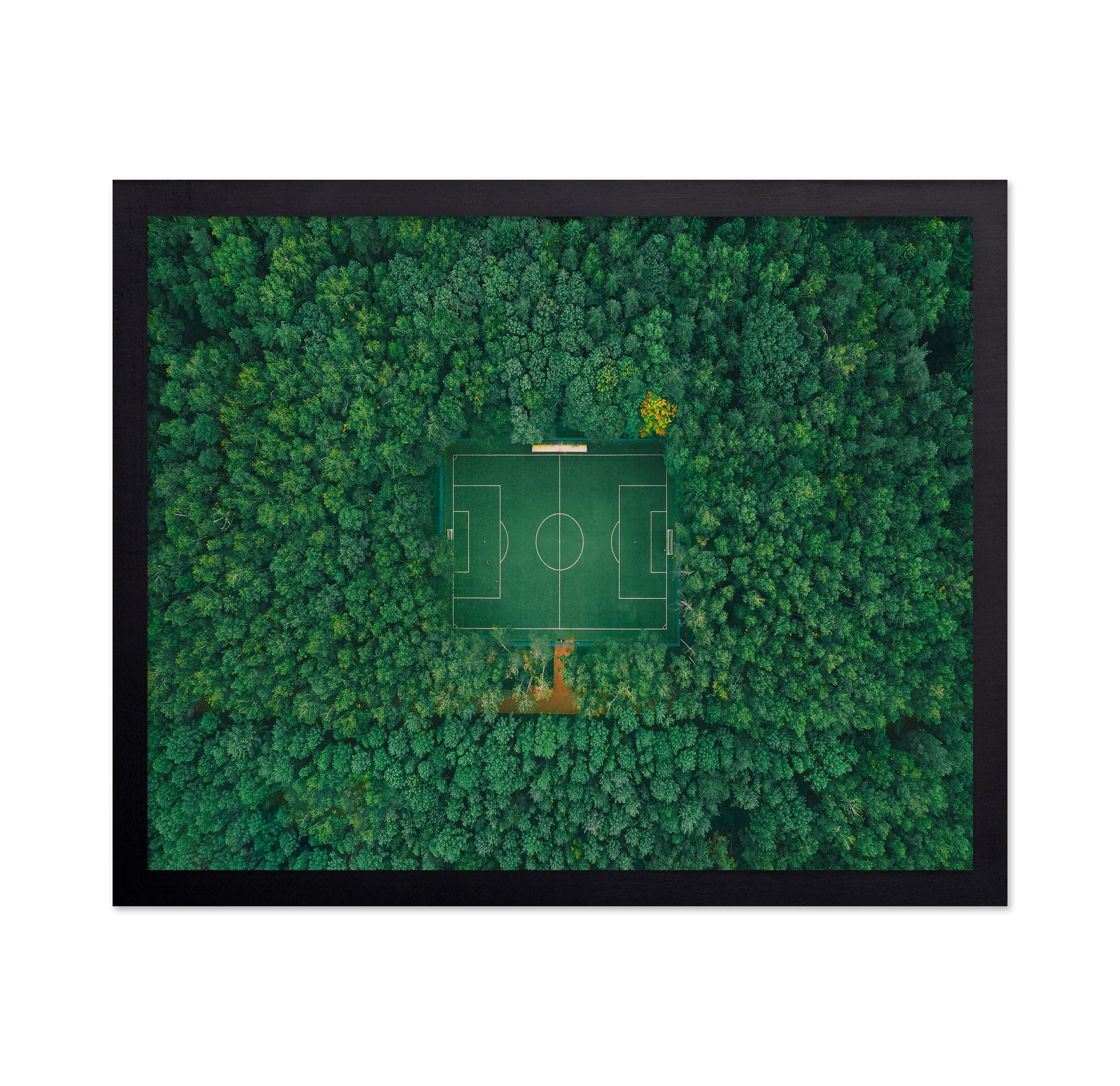 When Nature Embraces Sport