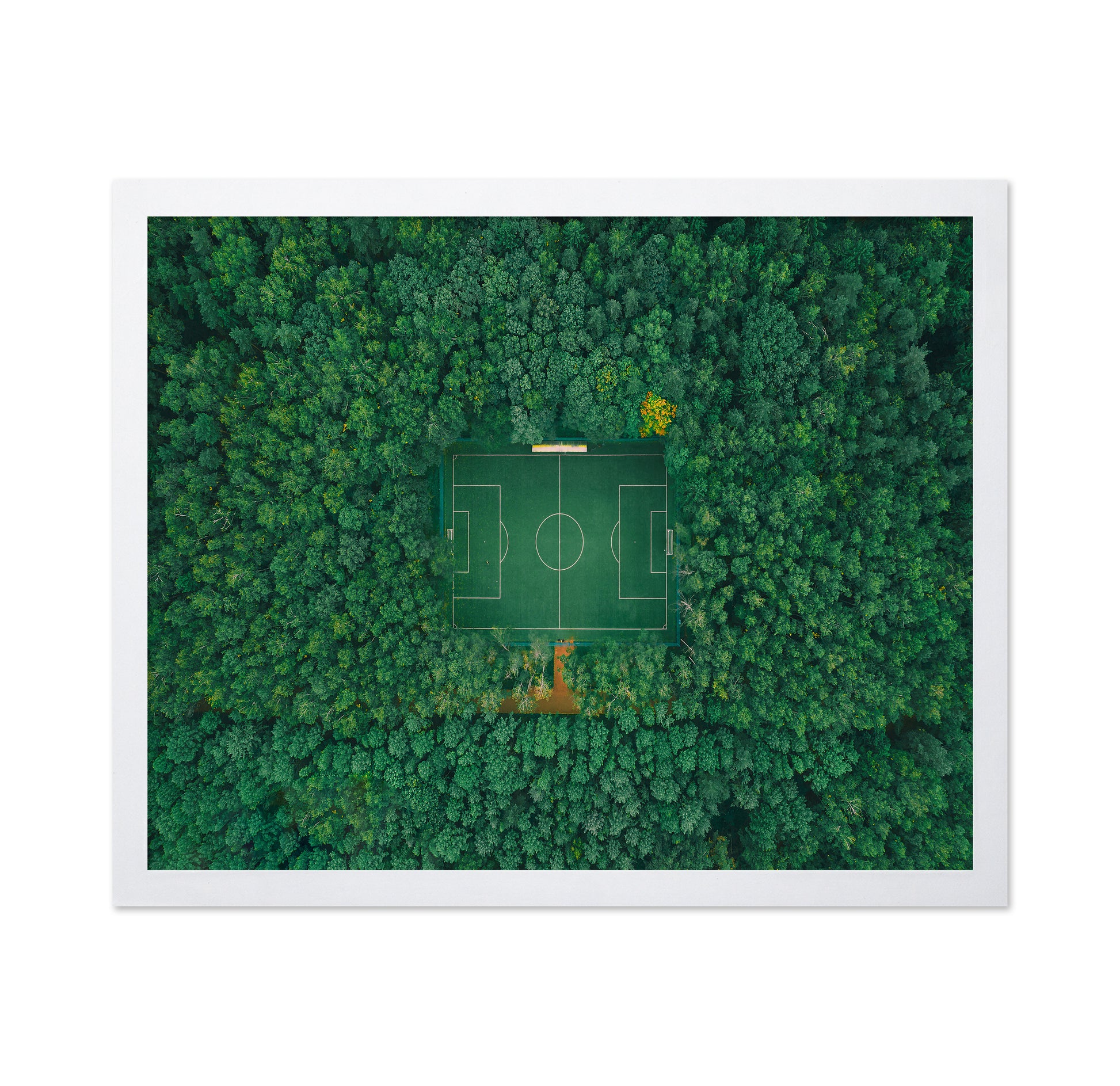 When Nature Embraces Sport