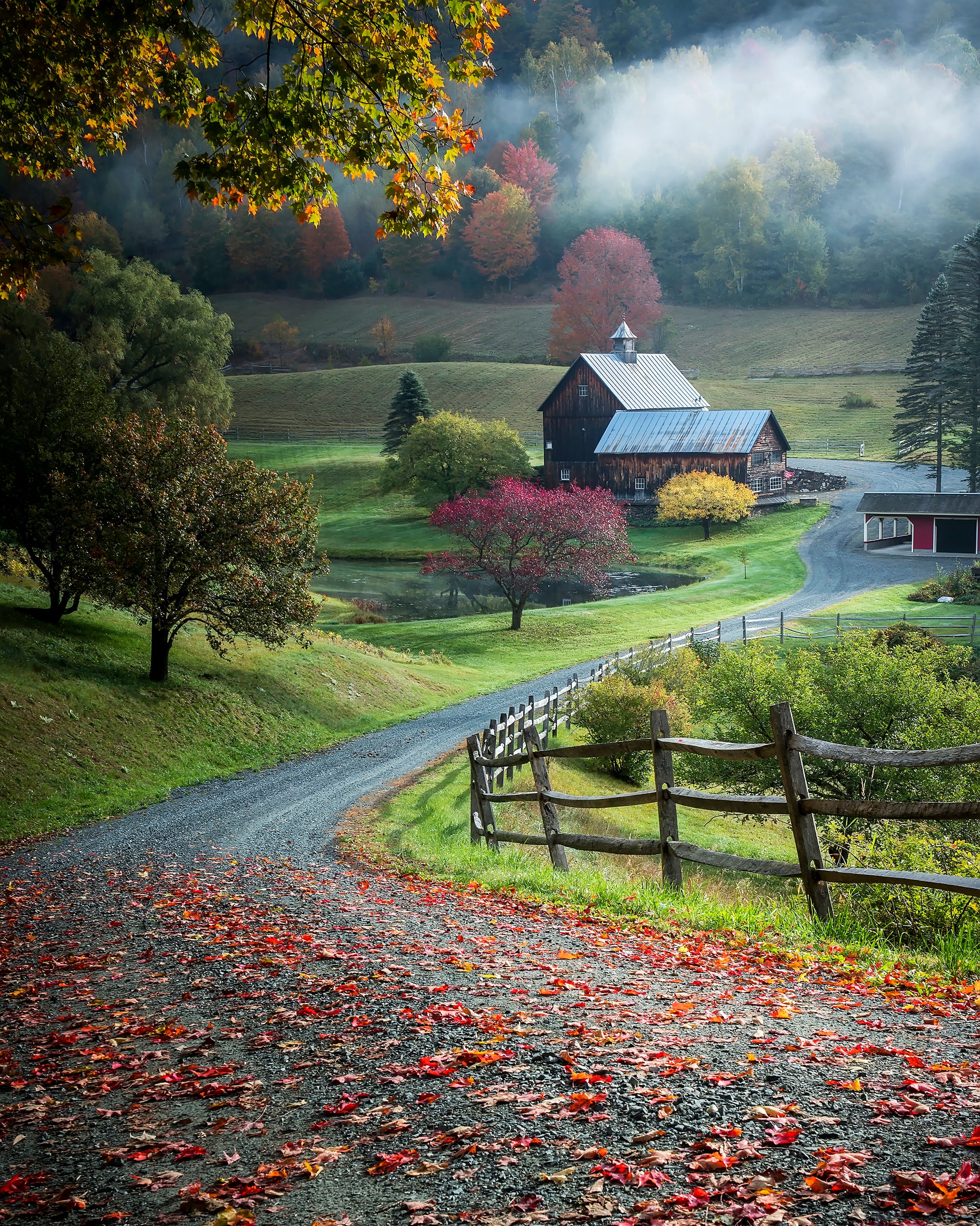 Autumn Countryside
