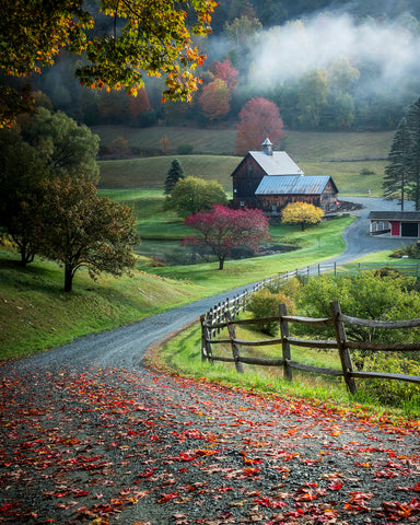 Autumn Countryside