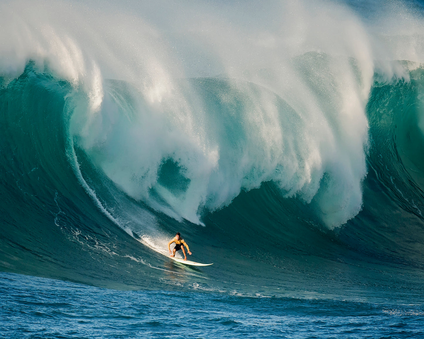 Surfin' Paradise