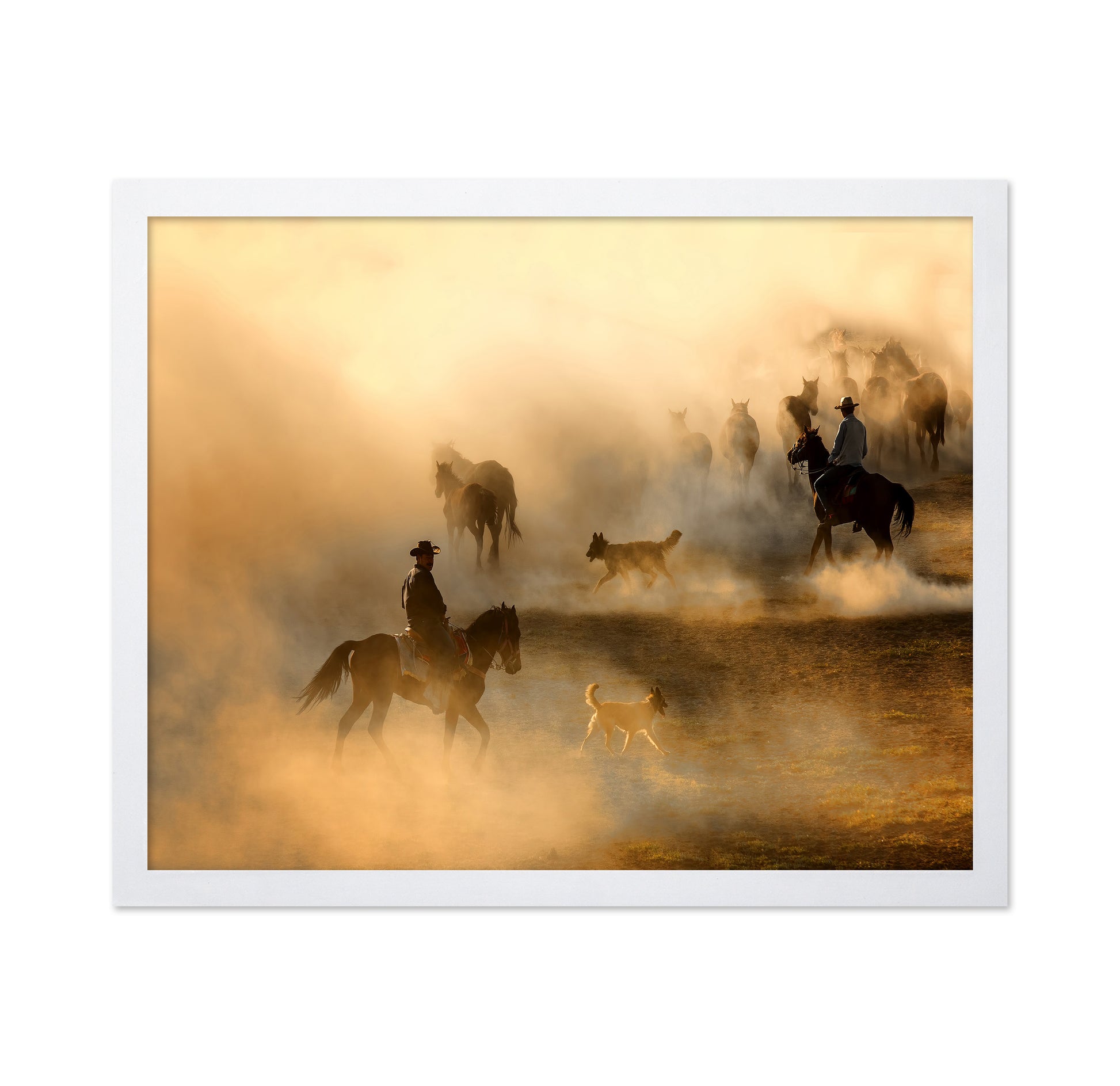 Cowboys Herding Horses