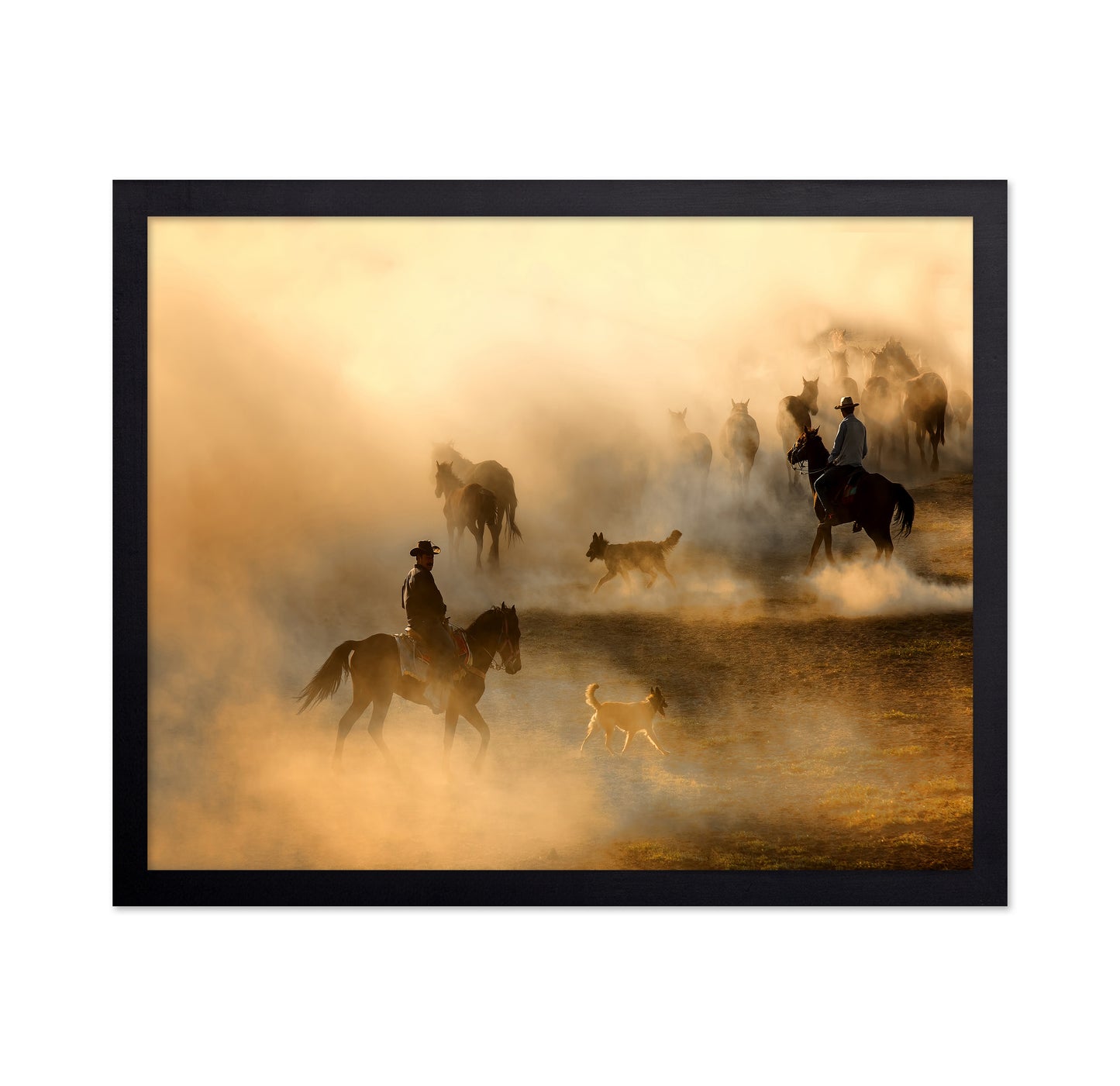 Cowboys Herding Horses